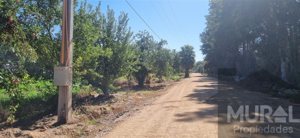 Parcela en Venta en Camino lonquen Sur con Carampangue, colegio Trebulco, Isla de Maipo, Metropolitana, Isla de Maipo, foto 11