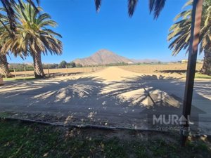 Parcela en Venta en Camino lonquen Sur con Carampangue, colegio Trebulco, Isla de Maipo, Metropolitana, Isla de Maipo, foto 14
