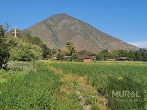 Parcela en Venta en Camino lonquen Sur con Carampangue, colegio Trebulco, Isla de Maipo, Metropolitana, Isla de Maipo, foto 10