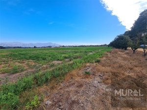 Parcela en Venta en Camino lonquen Sur con Carampangue, colegio Trebulco, Isla de Maipo, Metropolitana, Isla de Maipo, foto 8