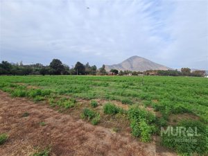 Parcela en Venta en Camino lonquen Sur con Carampangue, colegio Trebulco, Isla de Maipo, Metropolitana, Isla de Maipo, foto 6