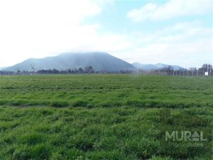 Parcela en Venta en Camino lonquen Sur con Carampangue, colegio Trebulco, Isla de Maipo, Metropolitana, Isla de Maipo, foto 13