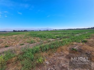 Parcela en Venta en Camino lonquen Sur con Carampangue, colegio Trebulco, Isla de Maipo, Metropolitana, Isla de Maipo, foto 9