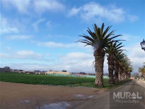 Parcela en Venta en Camino lonquen Sur con Carampangue, colegio Trebulco, Isla de Maipo, Metropolitana, Isla de Maipo, foto 15