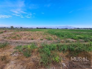 Parcela en Venta en Camino lonquen Sur con Carampangue, colegio Trebulco, Isla de Maipo, Metropolitana, Isla de Maipo, foto 7