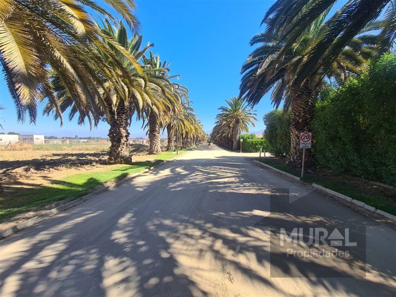 Parcela en Venta en Camino lonquen Sur con Carampangue, colegio Trebulco, Isla de Maipo, Metropolitana, Isla de Maipo