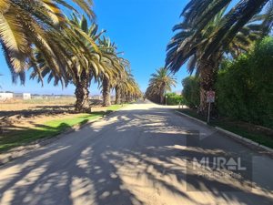 Parcela en Venta en Camino lonquen Sur con Carampangue, colegio Trebulco, Isla de Maipo, Metropolitana, Isla de Maipo, foto 1
