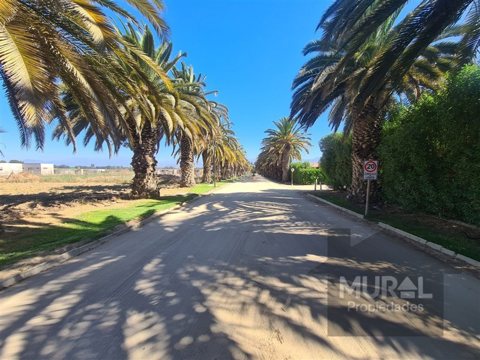 Parcela en Venta en Camino lonquen Sur con Carampangue, colegio Trebulco, Isla de Maipo
