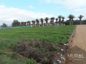 Parcela en Venta en Camino lonquen Sur con Carampangue, colegio Trebulco, Isla de Maipo, Metropolitana, Isla de Maipo, foto 12