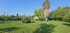 Parcela en Venta en Paine, Metropolitana, Paine, foto 15