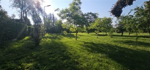 Parcela en Venta en Paine, Metropolitana, Paine, foto 13