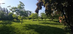 Parcela en Venta en Paine, Metropolitana, Paine, foto 14