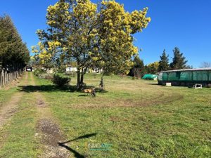 Parcela en Venta en camino Chol chol, La Araucanía, Temuco, foto 3