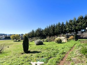 Parcela en Venta en camino Chol chol, La Araucanía, Temuco, foto 9