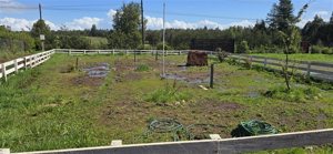 Parcela en Venta en 9VV8+8JQ Manil, Santa Bárbara, Bío-Bío, Santa Bárbara, foto 7