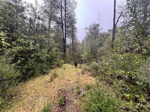Parcela en Venta en saltos del pocolpen, La Araucanía, Curarrehue, foto 10