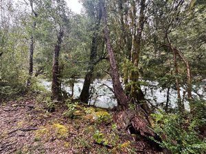 Parcela en Venta en saltos del pocolpen, La Araucanía, Curarrehue, foto 12