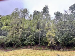 Parcela en Venta en saltos del pocolpen, La Araucanía, Curarrehue, foto 5
