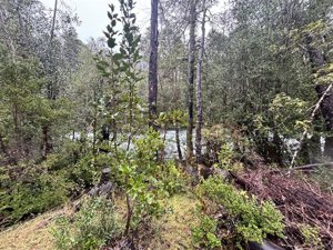 Parcela en Venta en saltos del pocolpen, La Araucanía, Curarrehue, foto 11