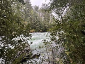 Parcela en Venta en saltos del pocolpen, La Araucanía, Curarrehue, foto 9