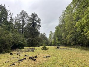 Parcela en Venta en saltos del pocolpen, La Araucanía, Curarrehue, foto 4