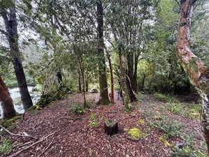 Parcela en Venta en saltos del pocolpen, La Araucanía, Curarrehue, foto 14