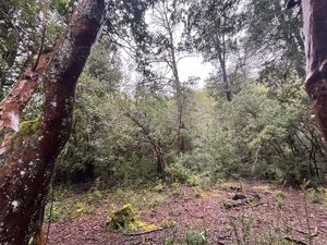 Parcela en Venta en saltos del pocolpen, La Araucanía, Curarrehue, foto 15