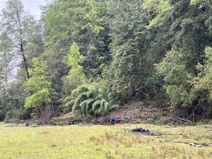 Parcela en Venta en saltos del pocolpen, La Araucanía, Curarrehue, foto 7