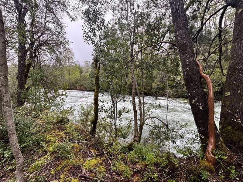 Parcela en Venta en saltos del pocolpen, La Araucanía, Curarrehue