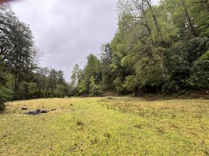 Parcela en Venta en saltos del pocolpen, La Araucanía, Curarrehue, foto 6