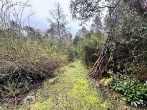 Parcela en Venta en saltos del pocolpen, La Araucanía, Curarrehue, foto 3