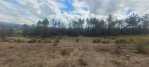 Parcela en Venta en Venta Terreno Agrícola 4 Hectáreas, Rol Propio, Factibilidad Luz y Agua, Cerca Río Biobío - Santa Juana, Nacimiento (Culenco), Bío-Bío, Nacimiento, foto 3