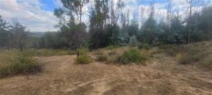 Parcela en Venta en Venta Terreno Agrícola 4 Hectáreas, Rol Propio, Factibilidad Luz y Agua, Cerca Río Biobío - Santa Juana, Nacimiento (Culenco), Bío-Bío, Nacimiento, foto 14