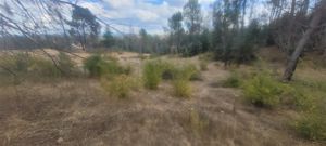 Parcela en Venta en Venta Terreno Agrícola 4 Hectáreas, Rol Propio, Factibilidad Luz y Agua, Cerca Río Biobío - Santa Juana, Nacimiento (Culenco), Bío-Bío, Nacimiento, foto 12
