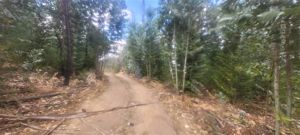 Parcela en Venta en Venta Terreno Agrícola 4 Hectáreas, Rol Propio, Factibilidad Luz y Agua, Cerca Río Biobío - Santa Juana, Nacimiento (Culenco), Bío-Bío, Nacimiento, foto 15