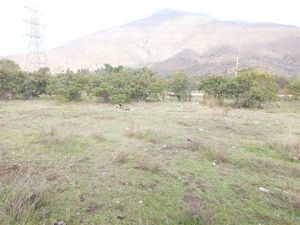 Parcela en Venta en PARCELA 5000 M2 COND. ALTOS DE OLMUE URBANIZADA, Valparaíso, Olmué, foto 12