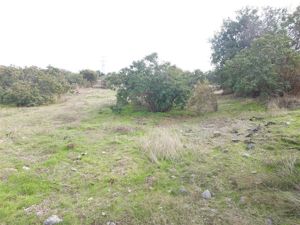 Parcela en Venta en PARCELA 5000 M2 COND. ALTOS DE OLMUE URBANIZADA, Valparaíso, Olmué, foto 10
