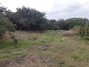 Parcela en Venta en PARCELA 5000 M2 COND. ALTOS DE OLMUE URBANIZADA, Valparaíso, Olmué, foto 8