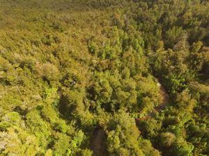 Parcela en Venta en Venta de Terreno 50 Hectáreas – Quellón, Sector Molulco Natri, Chiloé, Los Lagos, Quellón, foto 13