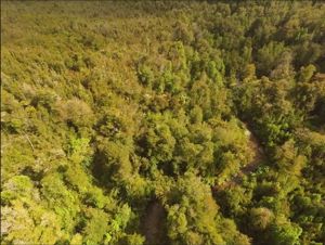 Parcela en Venta en Venta de Terreno 50 Hectáreas – Quellón, Sector Molulco Natri, Chiloé, Los Lagos, Quellón, foto 6