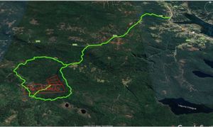 Parcela en Venta en Venta de Terreno 50 Hectáreas – Quellón, Sector Molulco Natri, Chiloé, Los Lagos, Quellón, foto 10