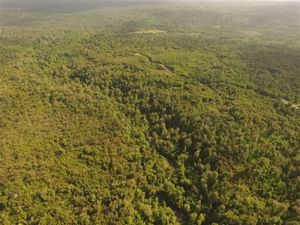 Parcela en Venta en Venta de Terreno 50 Hectáreas – Quellón, Sector Molulco Natri, Chiloé, Los Lagos, Quellón, foto 11