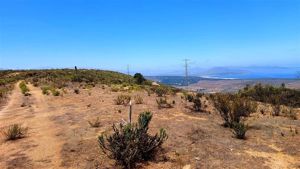 Parcela en Venta en SE VENDE PARCELA DE AGRADO DE 10.082 M2 PICHICUY HUAQUEN LA LIGUA, Valparaíso, La Ligua, foto 3