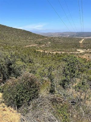 Parcela en Venta en SE VENDE PARCELA DE AGRADO DE 10.082 M2 PICHICUY HUAQUEN LA LIGUA, Valparaíso, La Ligua, foto 7