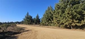 Parcela en Venta en Alto Pichilemu, Bernardo OHiggins, Pichilemu, foto 10