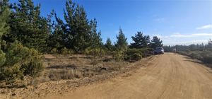 Parcela en Venta en Alto Pichilemu, Bernardo OHiggins, Pichilemu, foto 13