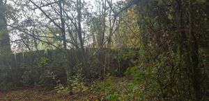 Parcela en Venta en Camino 2. Segunda Faja., La Araucanía, Villarrica, foto 5