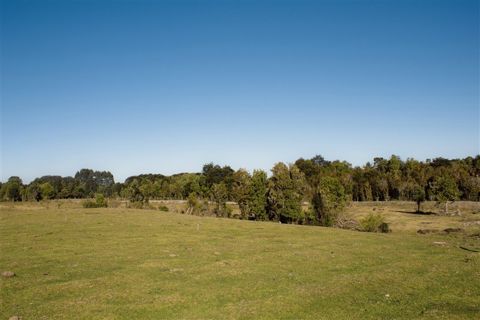 Parcela en Venta en Pargua