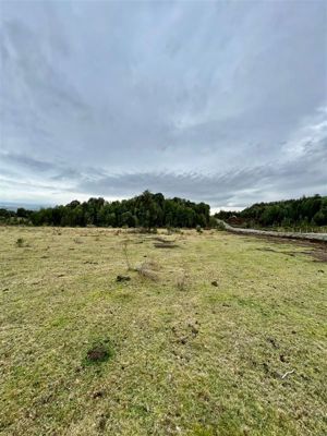 Parcela en Venta en Pargua, Los Lagos, Calbuco, foto 9