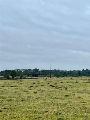 Parcela en Venta en Pargua, Los Lagos, Calbuco, foto 14